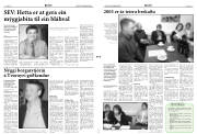 Síða 3