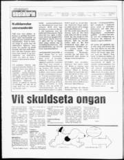 Síða 2