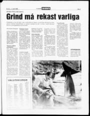 Síða 3
