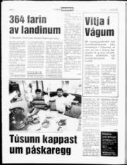 Síða 6