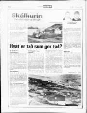 Síða 8