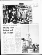 Síða 12