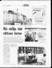 Síða 13