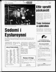 Síða 3