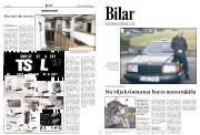 Síða 10
