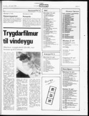 Síða 15