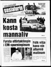 Síða 1