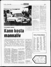 Síða 3