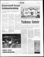 Síða 13