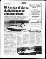 Síða 3