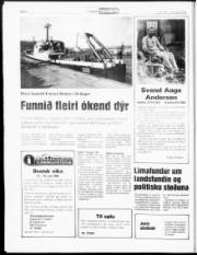 Síða 6