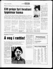 Síða 7