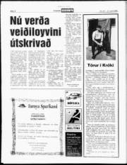 Síða 11
