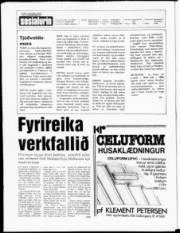 Síða 2