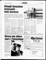Síða 3
