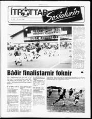 Síða 9