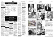 Síða 17