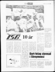 Síða 12