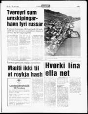 Síða 3