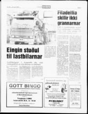 Síða 5