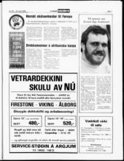 Síða 7