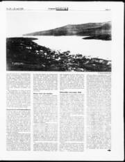 Síða 11
