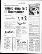 Síða 14