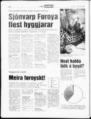 Síða 6