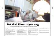 Síða 2