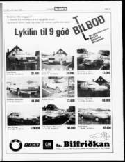 Síða 19
