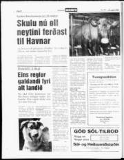 Síða 22