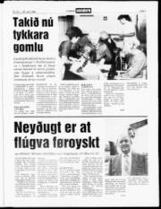 Síða 3