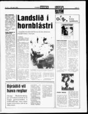 Síða 11