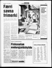Síða 7