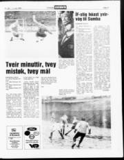 Síða 13
