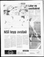 Síða 14