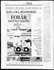 Síða 18