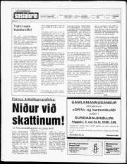 Síða 2