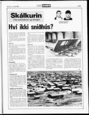 Síða 9