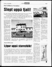 Síða 3