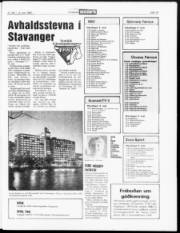 Síða 19