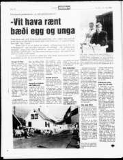 Síða 16