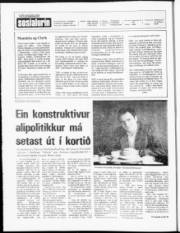 Síða 2