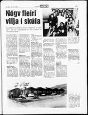 Síða 3