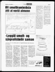 Síða 5