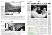 Síða 4