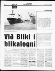 Síða 12