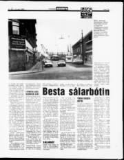 Síða 13