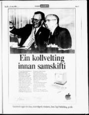 Síða 17