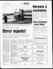 Síða 5